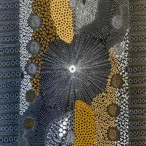 Janet Long Nakamarra Ngapa Water Dreaming 94cm x 71cm