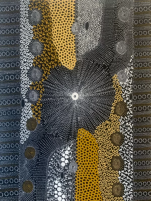 Janet Long Nakamarra Ngapa Water Dreaming 94cm x 71cm