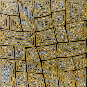 Thomas Tjapaltjarri - Tingari Cycle 61cm x 61cm